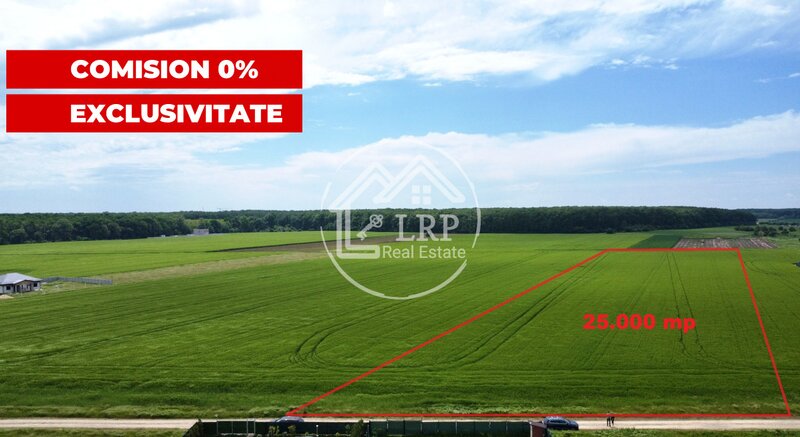 Dascalu oportunitate investitie:teren intravilan 25.000mp Dascalu-Padure, parcelabil