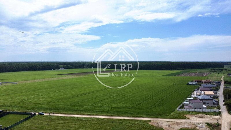 Dascalu oportunitate investitie:teren intravilan 25.000mp Dascalu-Padure, parcelabil