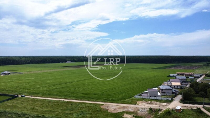 Dascalu oportunitate investitie:teren intravilan 25.000mp Dascalu-Padure, parcelabil