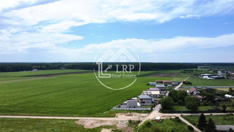 Dascalu oportunitate investitie:teren intravilan 25.000mp Dascalu-Padure, parcelabil