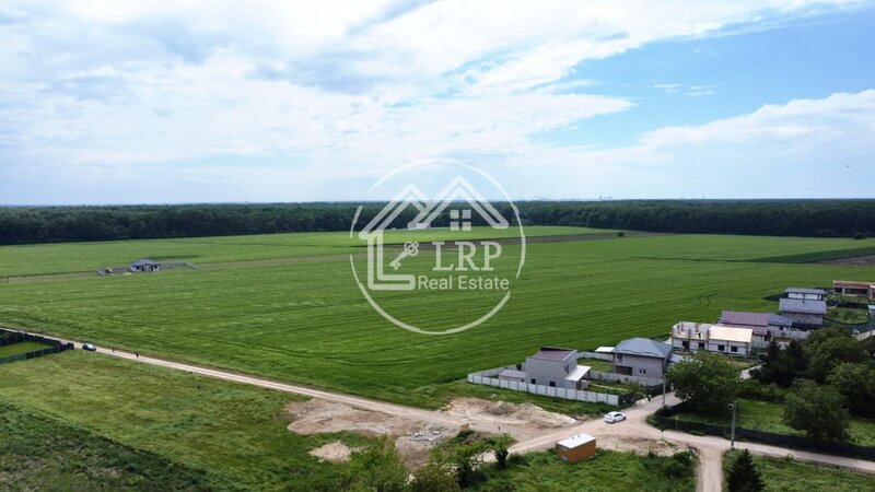 Dascalu oportunitate investitie:teren intravilan 25.000mp Dascalu-Padure, parcelabil