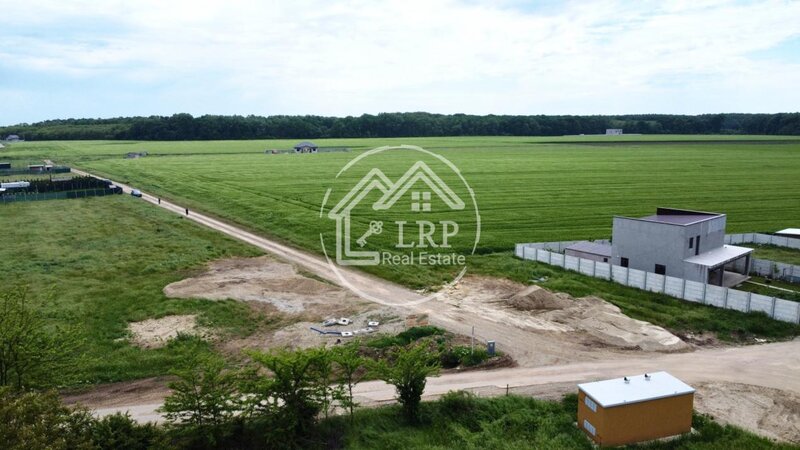 Dascalu oportunitate investitie:teren intravilan 25.000mp Dascalu-Padure, parcelabil