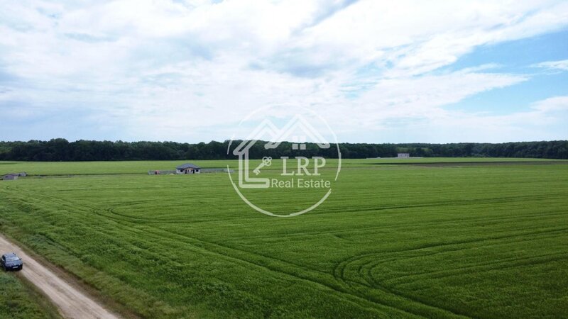Dascalu oportunitate investitie:teren intravilan 25.000mp Dascalu-Padure, parcelabil