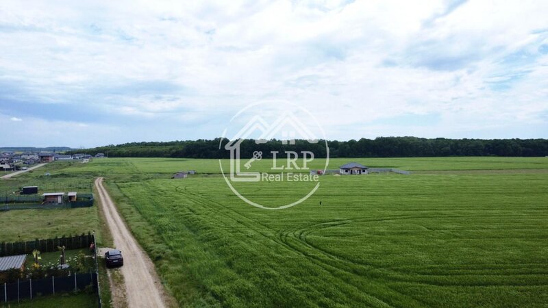 Dascalu oportunitate investitie:teren intravilan 25.000mp Dascalu-Padure, parcelabil
