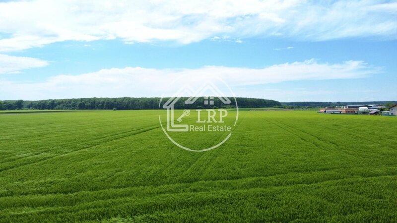 Dascalu oportunitate investitie:teren intravilan 25.000mp Dascalu-Padure, parcelabil