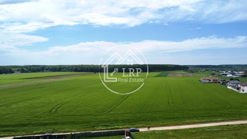 Dascalu oportunitate investitie:teren intravilan 25.000mp Dascalu-Padure, parcelabil