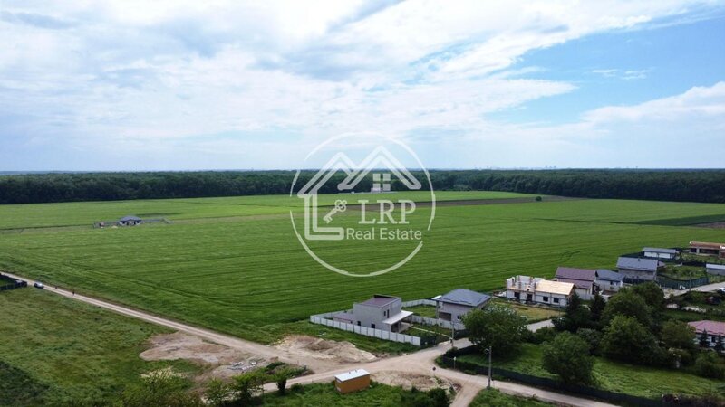 Dascalu oportunitate investitie:teren intravilan 25.000mp Dascalu-Padure, parcelabil