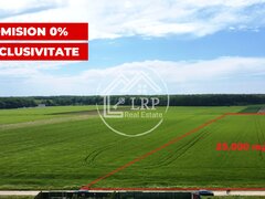 Dascalu oportunitate investitie:teren intravilan 25.000mp Dascalu-Padure, parcelabil