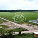 Dascalu oportunitate investitie:teren intravilan 25.000mp Dascalu-Padure, parcelabil