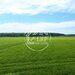 Dascalu oportunitate investitie:teren intravilan 25.000mp Dascalu-Padure, parcelabil
